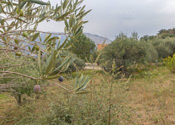 Foto 23 - Casa indipendente strada Provinciale 130
 
snc, Pollina - foto 23