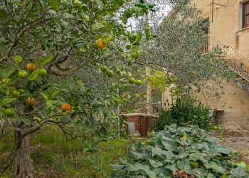 Foto 26 - Casa indipendente strada Provinciale 130
 
snc, Pollina - foto 26