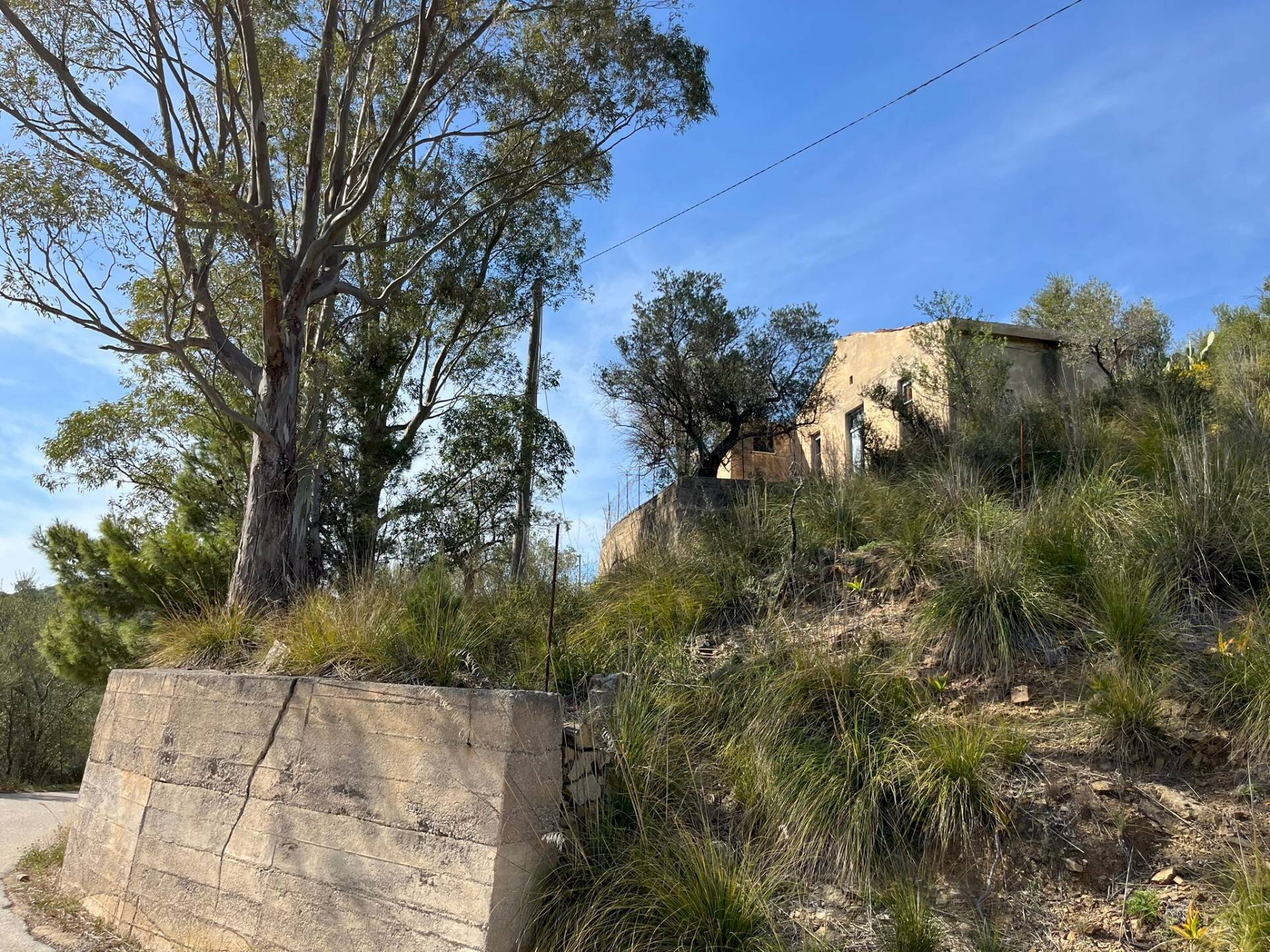 Foto 1 - Rustic c.da Petrusa
 
snc, Castelbuono - photo 1