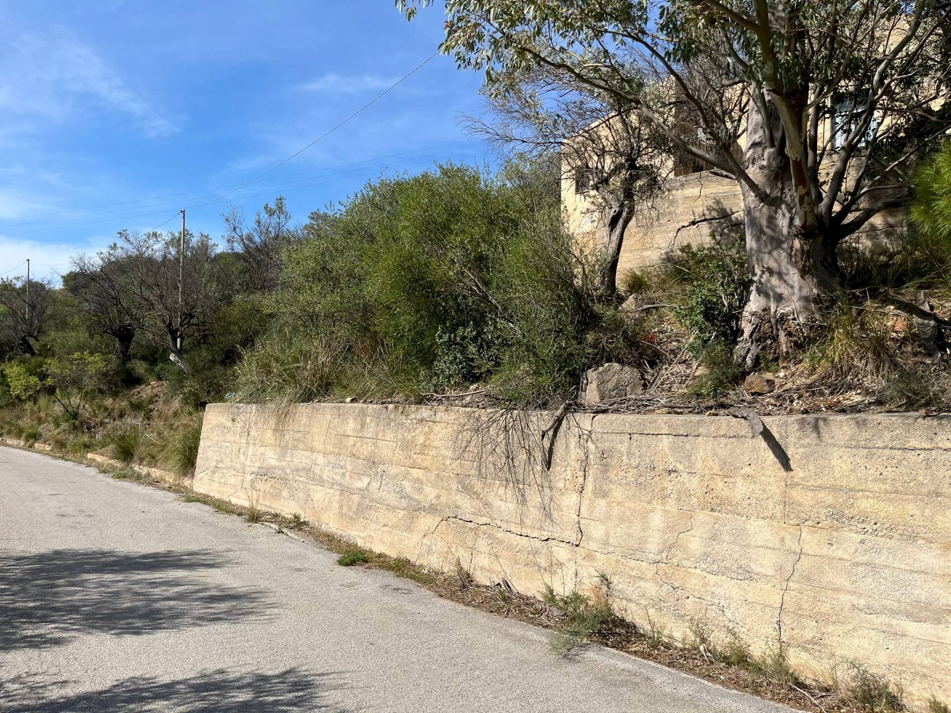 Foto 2 - Rustic c.da Petrusa
 
snc, Castelbuono - photo 2