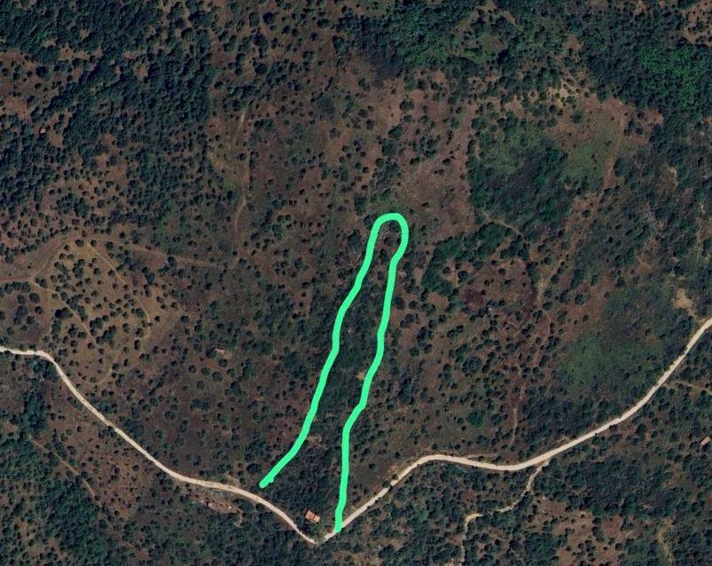 Foto 15 - Rustic c.da Petrusa
 
snc, Castelbuono - floor plans 1