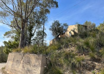 Foto 1 - Rustic c.da Petrusa
 
snc, Castelbuono - photo 1