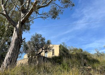 Foto 4 - Rustic c.da Petrusa
 
snc, Castelbuono - photo 4