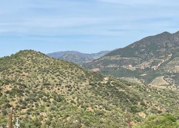 Foto 5 - Rustic c.da Petrusa
 
snc, Castelbuono - photo 5