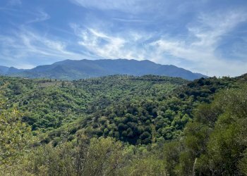 Foto 6 - Rustic c.da Petrusa
 
snc, Castelbuono - photo 6