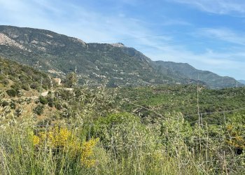 Foto 7 - Rustic c.da Petrusa
 
snc, Castelbuono - photo 7