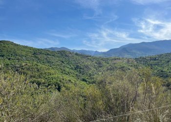 Foto 8 - Rustic c.da Petrusa
 
snc, Castelbuono - photo 8