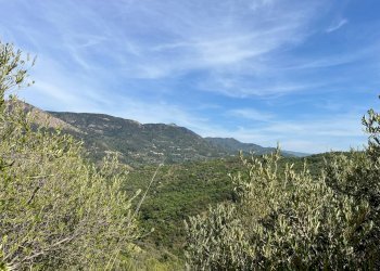 Foto 9 - Rustic c.da Petrusa
 
snc, Castelbuono - photo 9