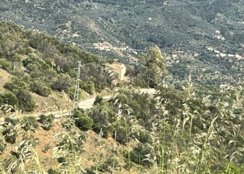 Foto 13 - Rustic c.da Petrusa
 
snc, Castelbuono - photo 13