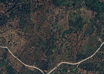 Foto 16 - Rustic c.da Petrusa
 
snc, Castelbuono - photo 15