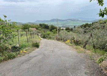 Foto 14 - Villa c.da Passo Brancato
 
snc, Piana degli Albanesi - photo 14