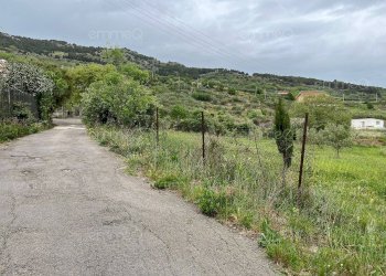 Foto 15 - Villa c.da Passo Brancato
 
snc, Piana degli Albanesi - photo 15