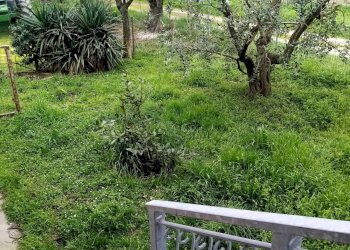 Foto 14 - Appartamento Bagnacavallo - foto 14