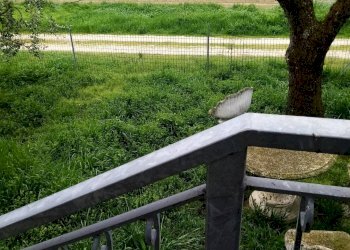 Foto 15 - Appartamento Bagnacavallo - foto 15