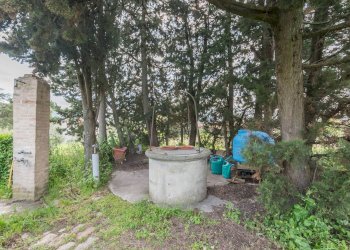 Foto 39 - Villa Via Dei Salici, Pesaro - foto 39