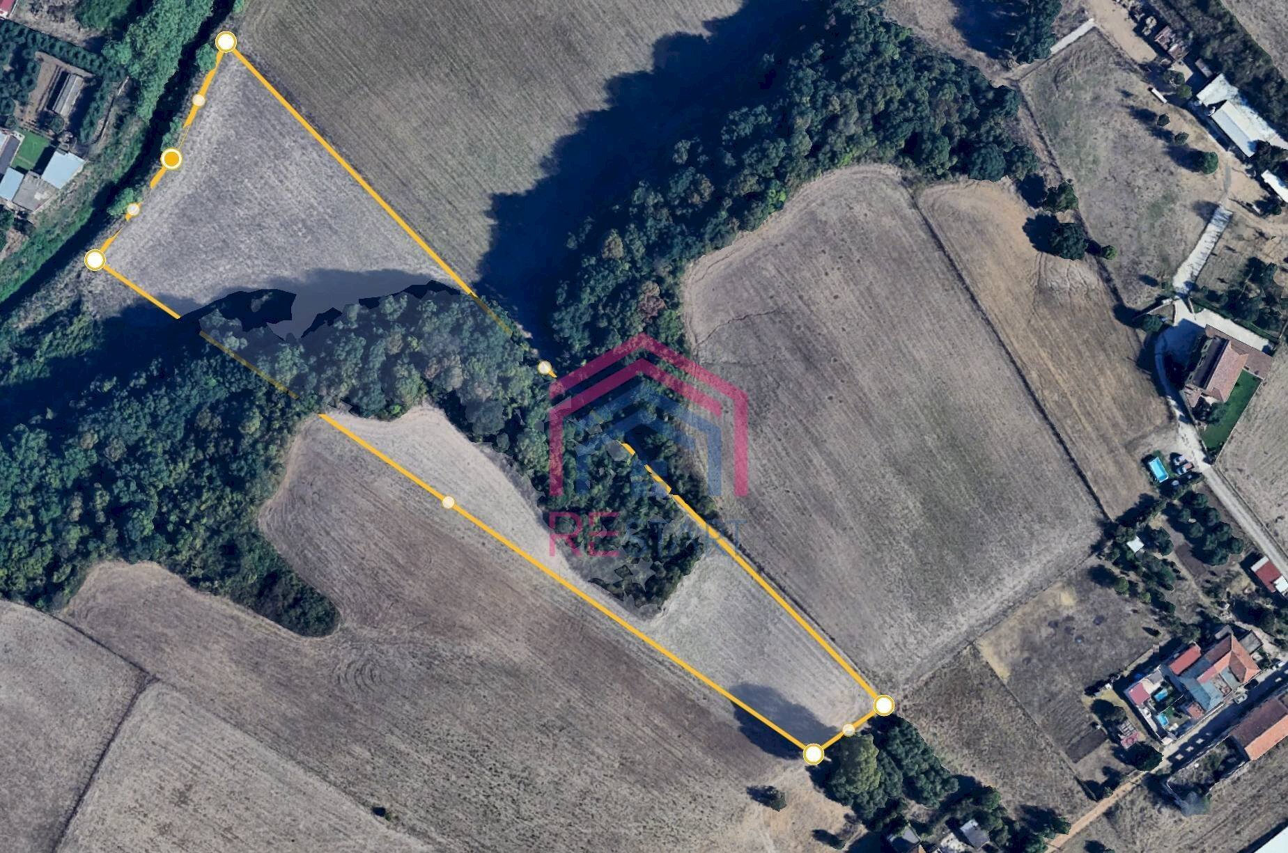 Foto 2 - Terreno agricolo Via Ovile Banditella, Ardea - foto 2