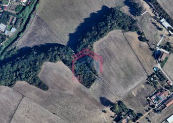 Foto 1 - Terreno agricolo Via Ovile Banditella, Ardea - foto 1