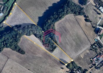 Foto 2 - Terreno agricolo Via Ovile Banditella, Ardea - foto 2