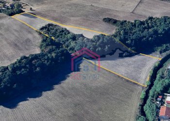 Foto 3 - Terreno agricolo Via Ovile Banditella, Ardea - foto 3