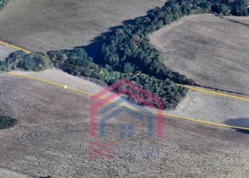 Foto 4 - Terreno agricolo Via Ovile Banditella, Ardea - foto 4