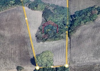 Foto 5 - Terreno agricolo Via Ovile Banditella, Ardea - foto 5