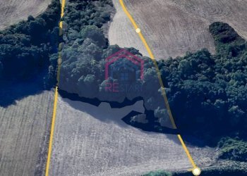 Foto 6 - Terreno agricolo Via Ovile Banditella, Ardea - foto 6