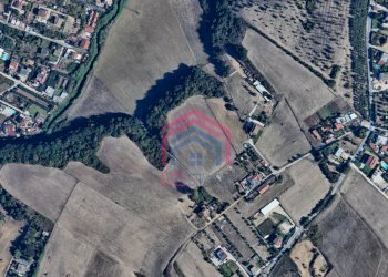 Foto 7 - Terreno agricolo Via Ovile Banditella, Ardea - foto 7