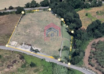 Foto 2 - Terreno agricolo Via Pescarella - Via Valle Caia
-, Ardea - foto 2