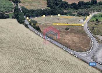 Foto 3 - Terreno agricolo Via Pescarella - Via Valle Caia
-, Ardea - foto 3