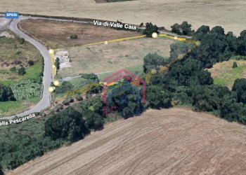 Foto 4 - Terreno agricolo Via Pescarella - Via Valle Caia
-, Ardea - foto 4