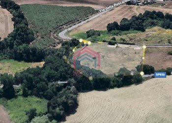 Foto 5 - Terreno agricolo Via Pescarella - Via Valle Caia
-, Ardea - foto 5