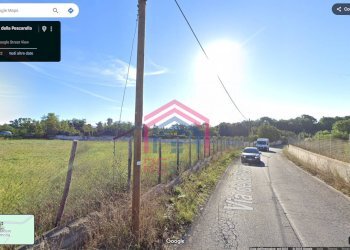 Foto 15 - Terreno agricolo Via Pescarella - Via Valle Caia
-, Ardea - foto 15