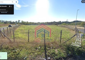 Foto 13 - Terreno agricolo Via Pescarella - Via Valle Caia
-, Ardea - foto 13