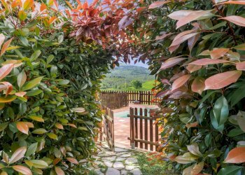 Foto 30 - Casa indipendente Volterra - foto 30