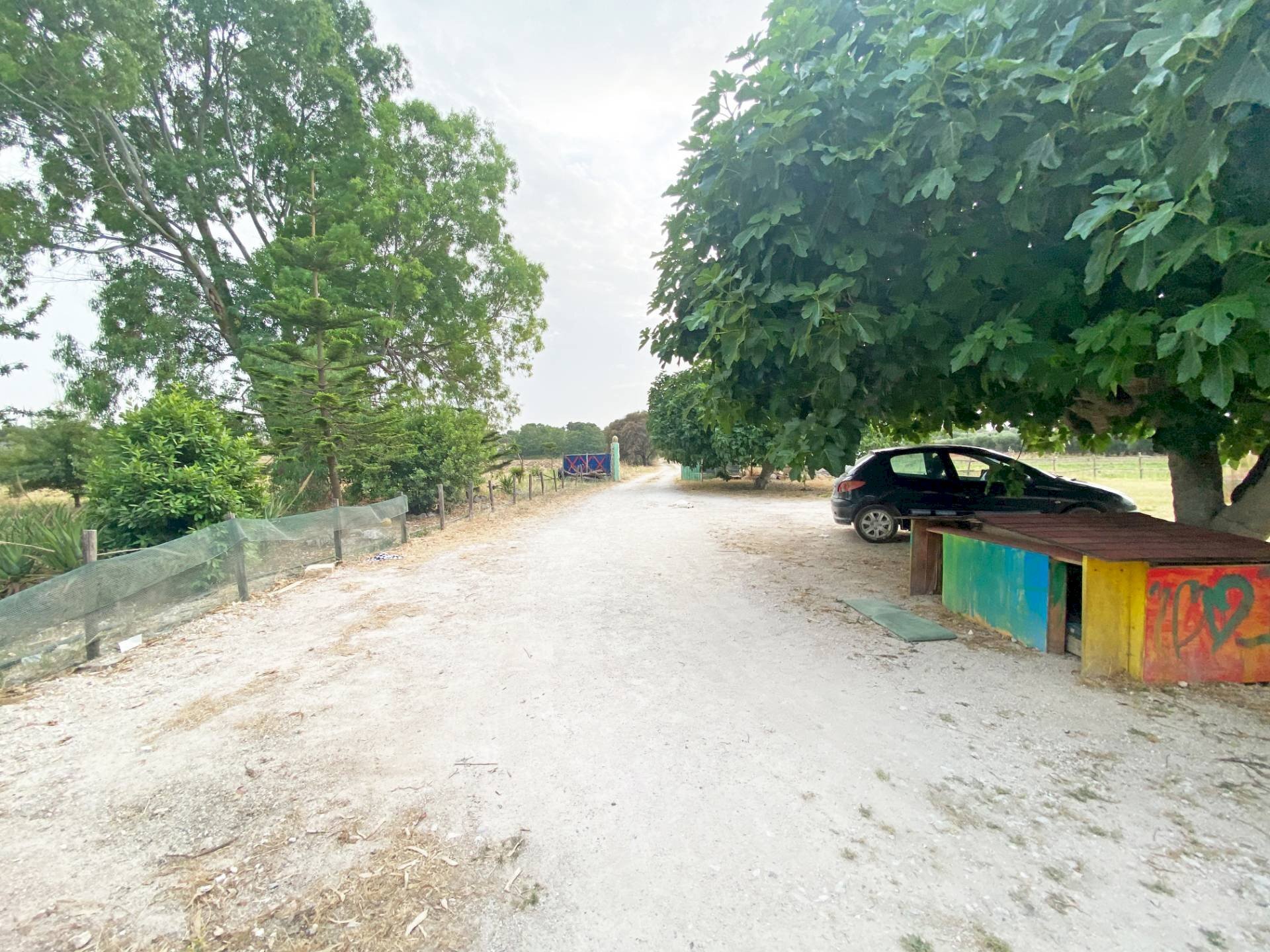 Foto 2 - Villa Strada Statale 16
 
3, Brindisi - foto 2