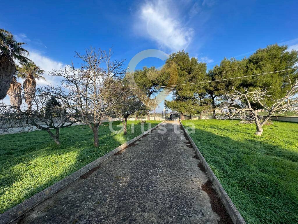 Foto 3 - Agriturismo Strada Provinciale  per Restinco, Brindisi - foto 3