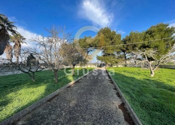 Foto 3 - Agriturismo Strada Provinciale  per Restinco, Brindisi - foto 3