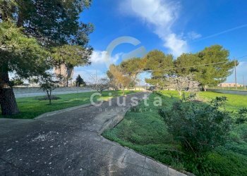 Foto 5 - Agriturismo Strada Provinciale  per Restinco, Brindisi - foto 5