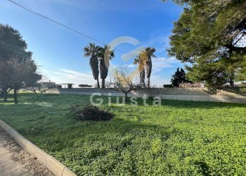 Foto 6 - Agriturismo Strada Provinciale  per Restinco, Brindisi - foto 6