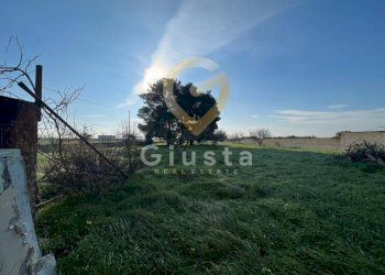 Foto 7 - Agriturismo Strada Provinciale  per Restinco, Brindisi - foto 7