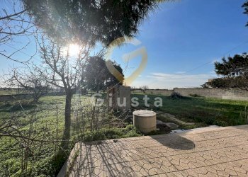 Foto 9 - Agriturismo Strada Provinciale  per Restinco, Brindisi - foto 9