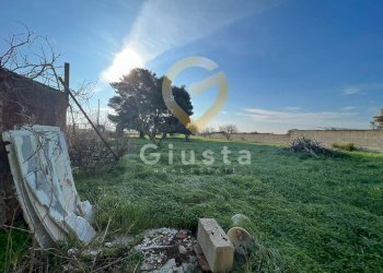 Foto 10 - Agriturismo Strada Provinciale  per Restinco, Brindisi - foto 10