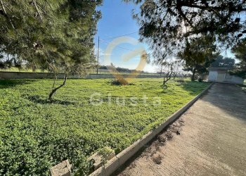 Foto 11 - Agriturismo Strada Provinciale  per Restinco, Brindisi - foto 11