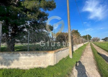 Foto 24 - Agriturismo Strada Provinciale  per Restinco, Brindisi - foto 24