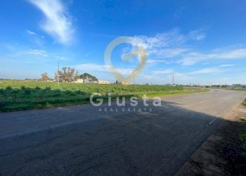 Foto 26 - Agriturismo Strada Provinciale  per Restinco, Brindisi - foto 26