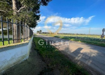 Foto 27 - Agriturismo Strada Provinciale  per Restinco, Brindisi - foto 27