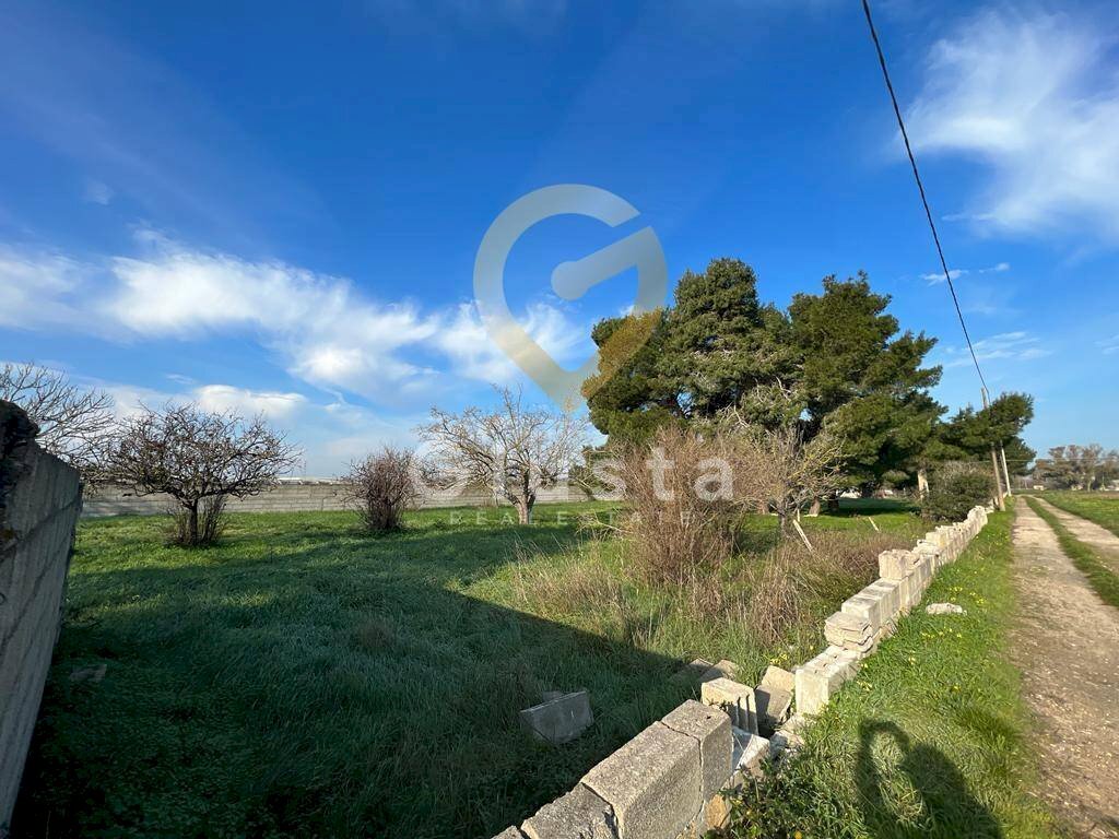 Foto 3 - Agriturismo Strada Per Restinco, Brindisi - foto 3