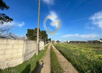 Foto 2 - Agriturismo Strada Per Restinco, Brindisi - foto 2