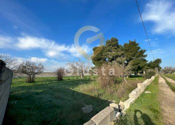 Foto 3 - Agriturismo Strada Per Restinco, Brindisi - foto 3