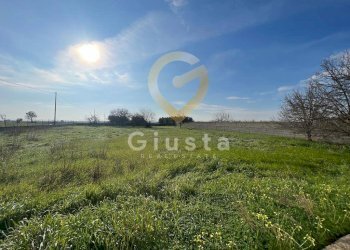 Foto 4 - Agriturismo Strada Per Restinco, Brindisi - foto 4